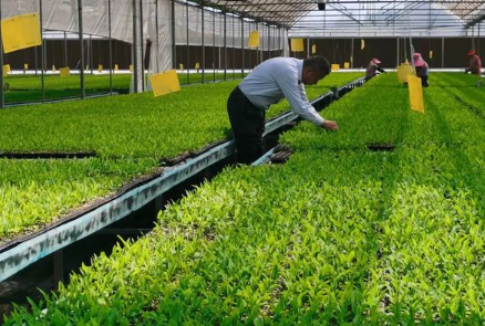 种子公司起名大全最火最佳（精选750个）