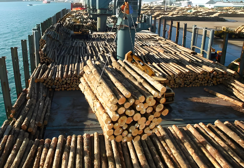 木业公司起名大全免费三个字 木业公司起名大全免费三个字