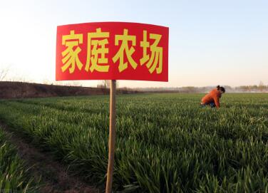 家庭农场起名大全两个字（精选260个）