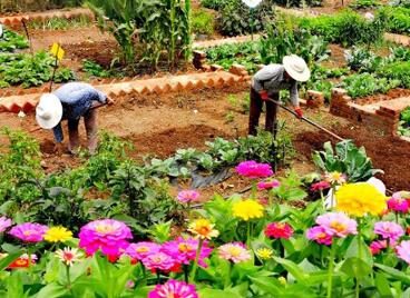 家庭农场取名500个好名字