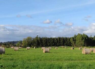 家庭农场取名500个好名字